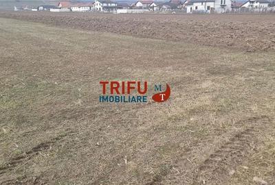 Spațiu comercial, în Ighiu - 1