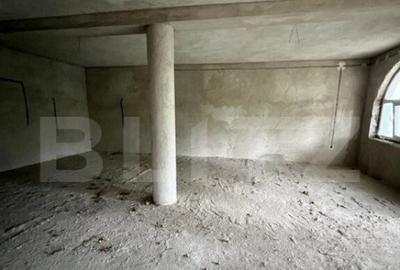 2 CASE, 300mp/700mp, teren 30 ari, zona strada Botizului - 8