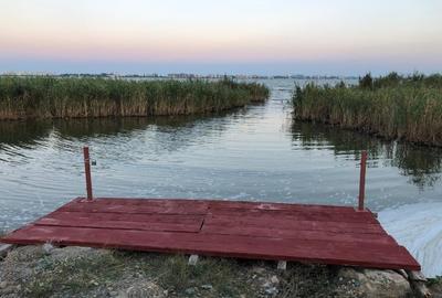 Teren Construcții intravilan de 2554 mp, în Est - 2