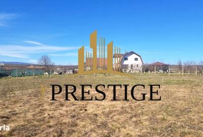 Spațiu comercial, în Cristian - 10