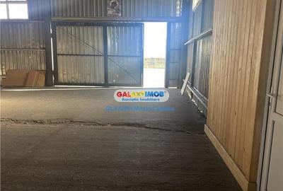 Vanzare teren cu hala Floresti Prahova-Filipestii de Padure - 5