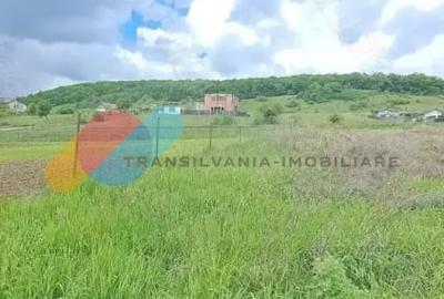 Teren extravilan , 637mp, Lomb - 3