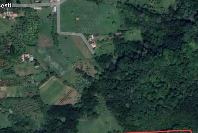 Teren de 6837 mp, în Dăești - 2