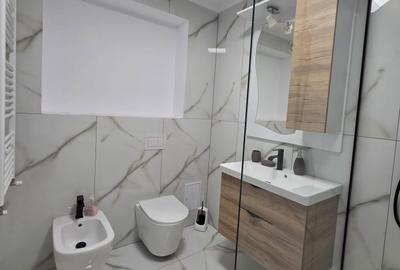Apartament cu 2 camere semidecomandat în Lotrioara - 3
