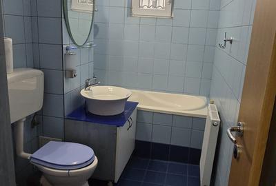 Aradului, spatios, liber - 11