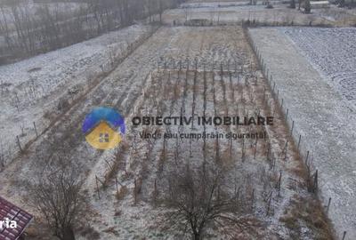 Casă cu 2 camere în Rocna - 10