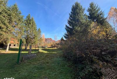 Spațiu comercial, în Central - 3