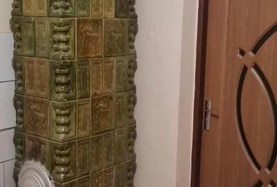 Casă cu 3 camere cu Teren 28 Mp în Sălacea - 1