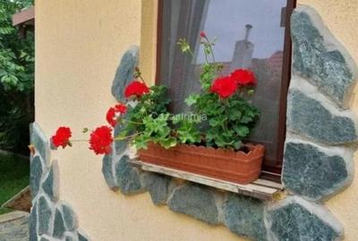 Vand casa 3 camere ARIUSD - 2