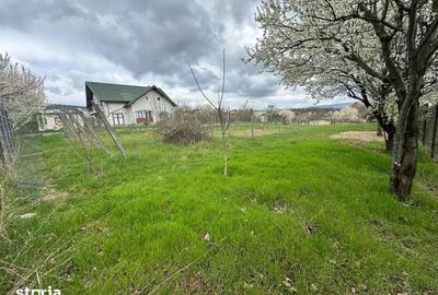 Teren de 1100 mp, în Bârnova - 7