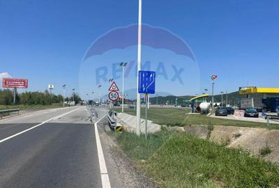 Teren Strategic in Vestem-Ideal pentru Dezvoltari Viitoare - 5