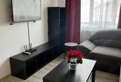 Apartament cu 2 camere decomandat în Lunca Cetățuii - 3