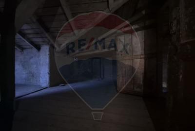 Casă / Vilă cu 11 camere de vânzare în zona Iancului - 13