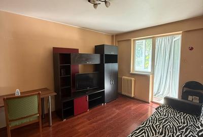 Doamna Ghica, Colentina, la doar 10 minute de parcul Plumbuita - 7