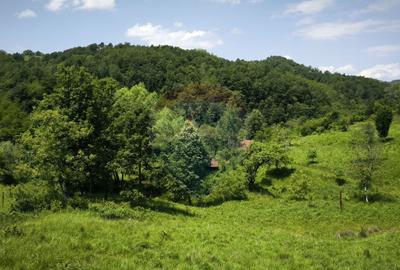 Teren intravilan de vis in Mun?ii Apuseni, curent + izv... - 1