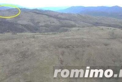 Cota 1/4 teren extravilan Dalboset, jud. Caras Severin - termen 14.08 - 2