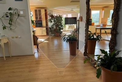 Inchiriez casa individuala, 4 dormitoare, zona Borhanciului - 12