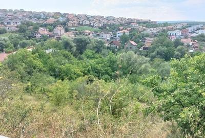 VANZARE DOUA TERENURI INTRAVILANE ALATURATE IN DEZMIR - 3