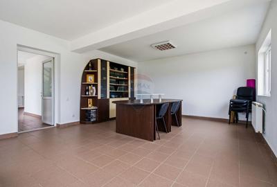 Teren Construcții intravilan de 43708 mp, în Scobâlțeni - 19