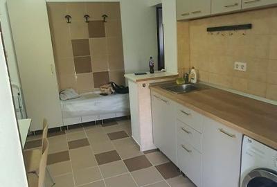 Apartament cu 2 camere decomandat în Lipovei - 5
