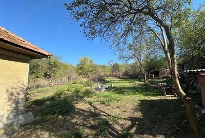 Vand casa+teren 3700mp Butoiesti MH - 4