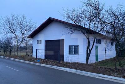Casa si hala de vanzare, in Horodnic de Sus - 5