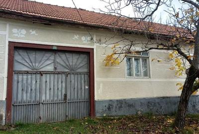 Casă cu 3 camere cu Teren 1349 Mp în Nădălbești - 5