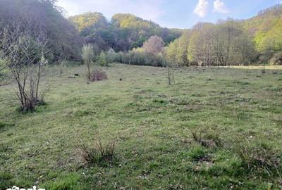 Teren de 6300 mp, în Central - 7