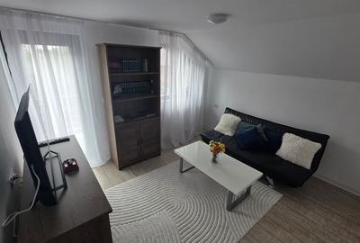 Închiriere casă premium, 4 dormitoare, 3 livinguri, 2 bucătării Închiriere casă premium, 4 dormitoare, 3 livinguri, 2 bucătării - 6