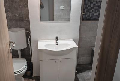 Apartament cu 2 camere decomandat în Viforâta - 4