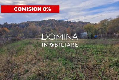 Teren de 4967 mp, în Bălești - 5