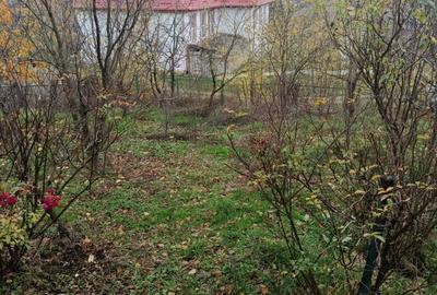 Casă cu 3 camere în Draxeni - 6