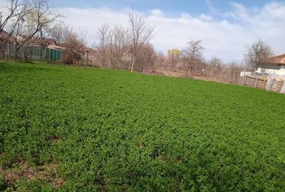 Casă cu 3 camere în Leu - 2