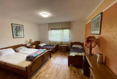Vila deosebita, 2 corpuri P+M si P+1E, Margineni-Bacau - 31