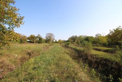 Teren Construcții intravilan de 5963 mp, în Dămăroaia - 14