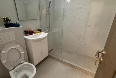 Ghencea-Vladeasa-Garsoniera renovata - 9