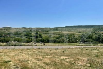 Teren de 2431 mp, în Chinteni - 6