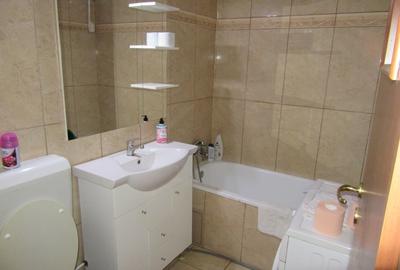 Apartament cu 2 camere semidecomandat, mobilat în Baba Novac - 17