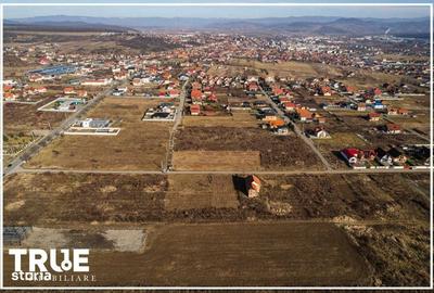 Spațiu comercial, în Apalina - 7