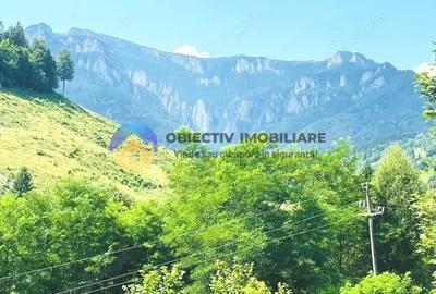 TEREN Izvoru Muntelui, langa orasul BICAZ - 4