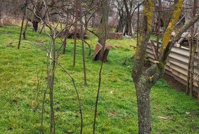Casă cu 3 camere în Buciumeni - 2