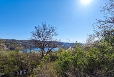 Casă individuală cu 2 camere cu Teren 550 Mp în Teliucu Inferior - 5