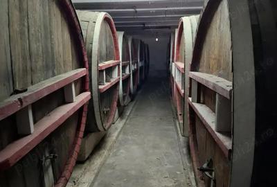 Crama de vanzare Odobesti -Vartescoiu - 8