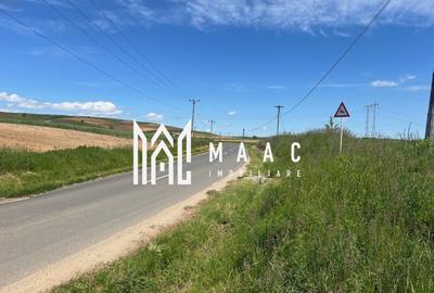 Teren agricol de 45200 mp, în Cașolț - 3