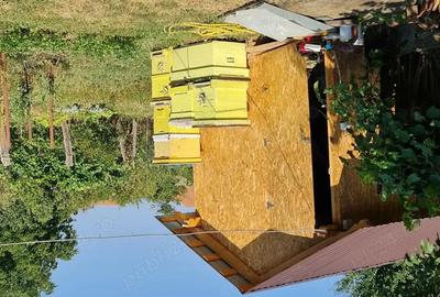 Casă cu 2 camere cu Teren 334 Mp în Vinerea - 7