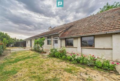 Casă cu 4 camere cu Teren 1989 Mp în Iecea Mare - 14