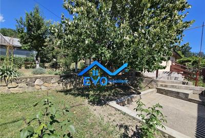 Casa de Uricani, Miroslava, Iasi - 0 Comision, 1000 mp Tere - 16