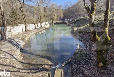Casă cu 6 camere cu Teren 3000 Mp în Sălciua - 2