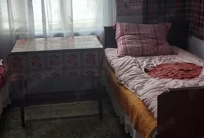 Vand casa + anexe si gradina - 2