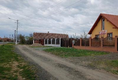 Casă cu 3 camere cu Teren 600 Mp în Vinga - 4